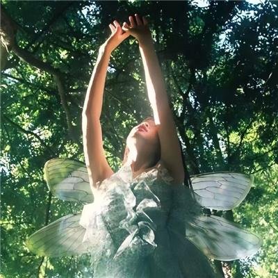 休夫和离后，我转身嫁权臣